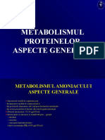 metabolismul-proteinelor-2a
