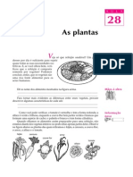 Telecurso 2000 - Ensino Fund - Ciências 28