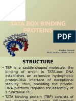 TATA Box Binding Proteins