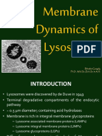Membrane Dynamics of Lysosomes