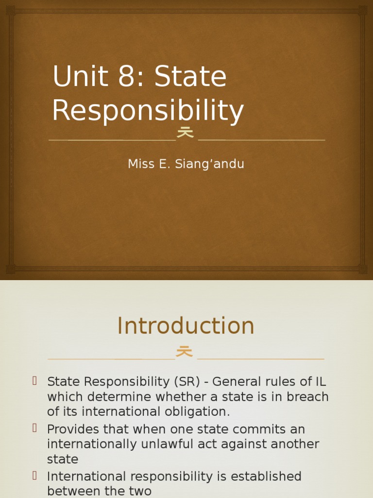 Overview of State Responsibility in IL | PDF | International Law ...