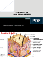 Pengelolaan Luka Bakar Listrik