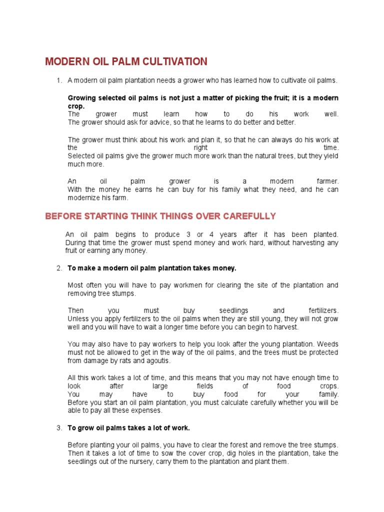 Important Modern Oil Palm Cultivation Pdf Plant Nursery Arecaceae