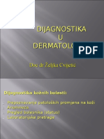 Dijagnostika U Dermatologiji