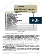 Aula 00 Português.pdf