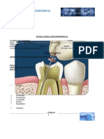 Ficha Clínica de Endodoncia