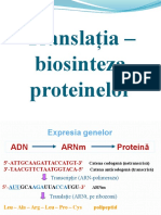 Translatia.pptx