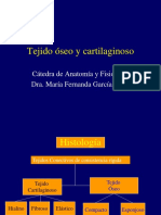 Clase Teórica Tejido Oseo y Cartilaginoso