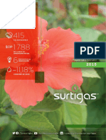 Informe de Gestión de Surtigas - 2015