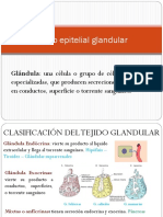 Dra. Ragone - Glándula - TP N3