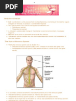 SPM Science Notes - Body Coordination