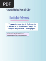 PAE NOVENO CICLO naty (1).docx