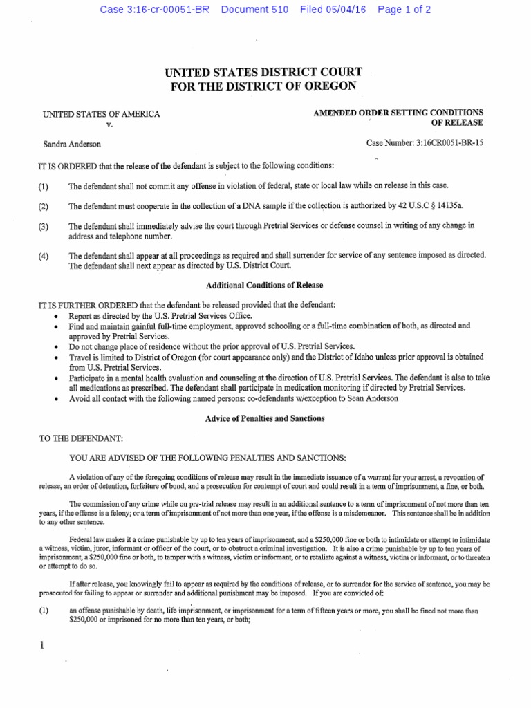 05-04-2016-ecf-510-usa-v-sandra-anderson-amended-order-setting