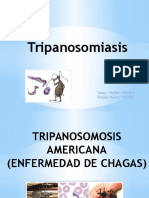 Tripanosomiasis Americana y Otras