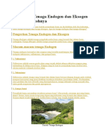 Download Pengertian Tenaga Endogen Dan Eksogen Beserta Contohnya by Nui Sari SN311554409 doc pdf