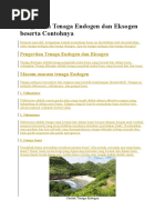 Download Pengertian Tenaga Endogen Dan Eksogen Beserta Contohnya by Nui Sari SN311554409 doc pdf