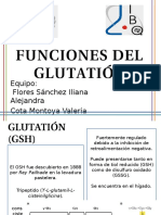 Fuinciones Del Glutatión