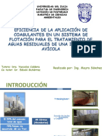 Prueba Daf y Coagualantes