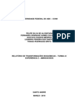 Relatório - Exp2 - Aminoácidos - Transformações Bioquimicas - Trim2.1