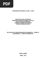 Relatório_Exp6_Cinética Enzimática_Transformações Bioquimicas_Trim2.1