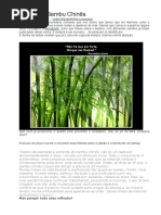 A Lição Do Bambu Chinês