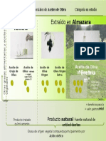 Tipos de Aceite de Oliva Premium