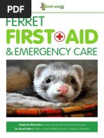 Ferret First Aid Emergency Care Ferret-World