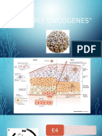 Completo VPH.33