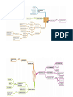 Biologi Map Alat Indera