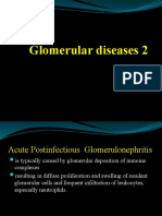 Glomerular Diseases 2