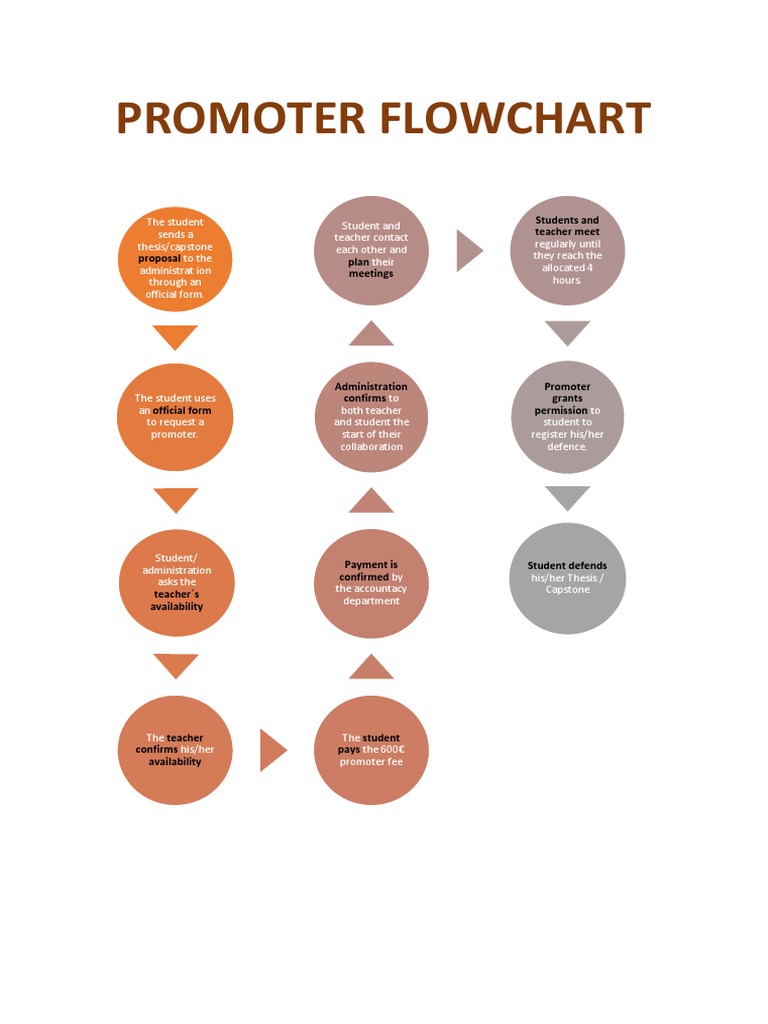 Thesis Promoter Process Flowchart | PDF