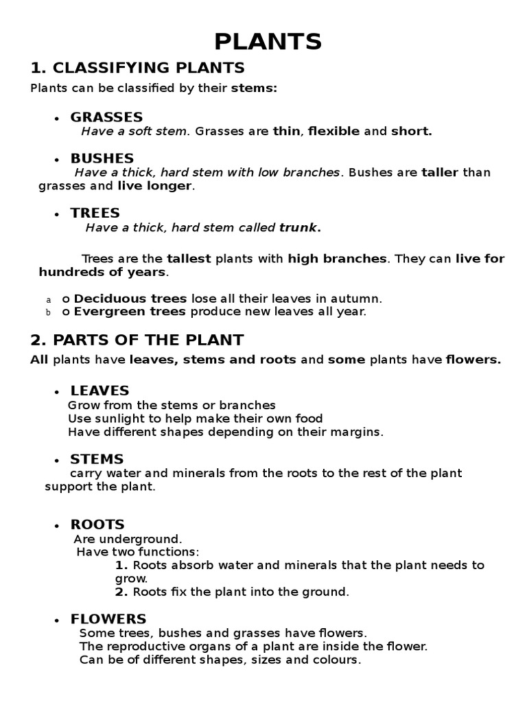 Plant Classification and Parts Guide | PDF | Science & Mathematics