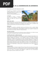 Aplicaciones de La Sedimentación en Diferentes Industrias