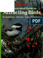 An Illustrated Guide To Attracting Birds