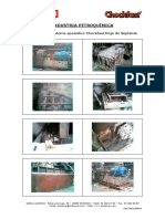 Ref Choind0504soplantes PDF