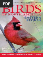 Download Birds of North America Eastern Region by Momzy Moo SN311633482 doc pdf