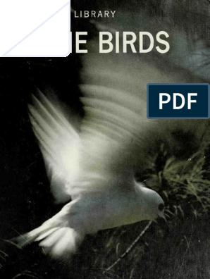 Birds of America Mini Gift John J Audubon Whooping Crane Young Deco Magnet
