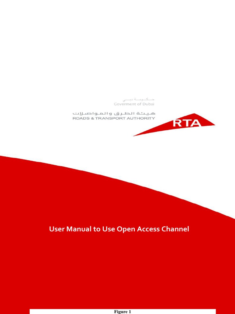 RTA Online Services Guide | PDF