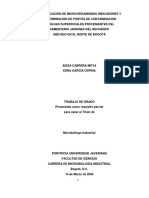 Identification of indicator microorganisms and determination of contamination points in surface waters from the Jardines del Recuerdo Cemetery located in northern Bogotá