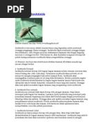 Download Pengenalan Insektisida by Achmad Hidayat SN3116460 doc pdf