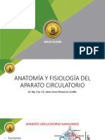 CLASE 5 ANATOMÍA Y FISIOLOGÍA Sistema Cardiovascular PDF