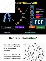 Citogenetica 1 W