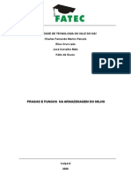 Trabalho Controle Pragas e Fungos