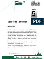 Apostila_-_Estabilidade_2006_Cap05.pdf