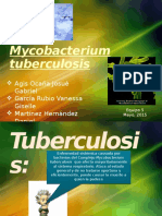 Documents - Tips Mycobacterium Tuberculosis Completo