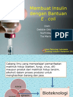 MEMPRODUKSI INSULIN