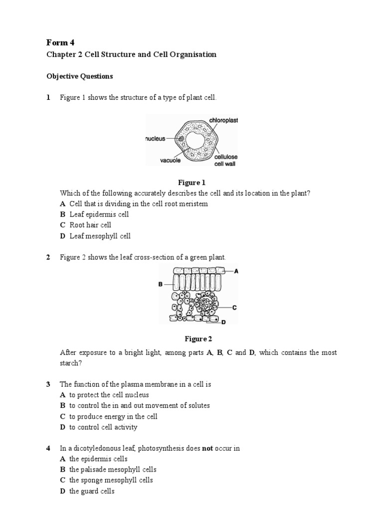 Biology form 4 Chapter 2  Vacuole  Cell (Biology)