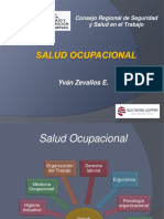 006 Salud Ocupacional.pdf