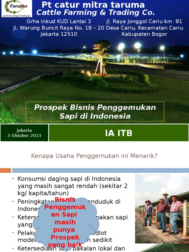 Bisnis Plan Peternakan Sapi PDF PDF