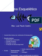 Sistema Esqueletico.pdf